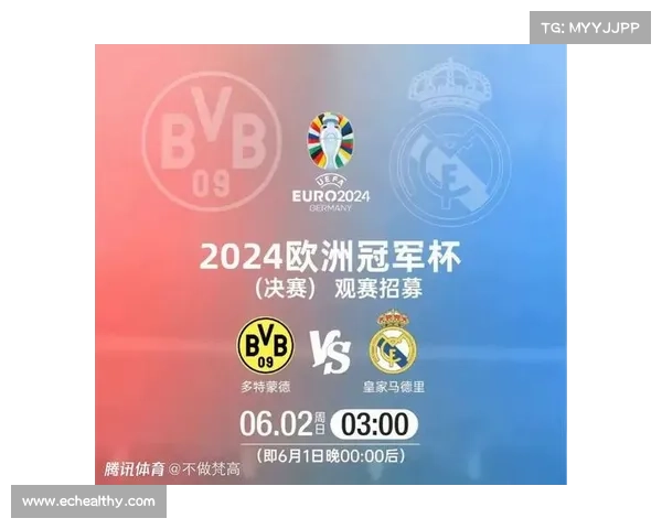 欧洲足球锦标赛全面解析：谁将问鼎欧洲之巅成为足坛新霸主